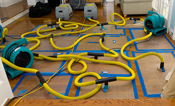 Professional Basement Flood Cleanup technician working in Grand Junction, CO